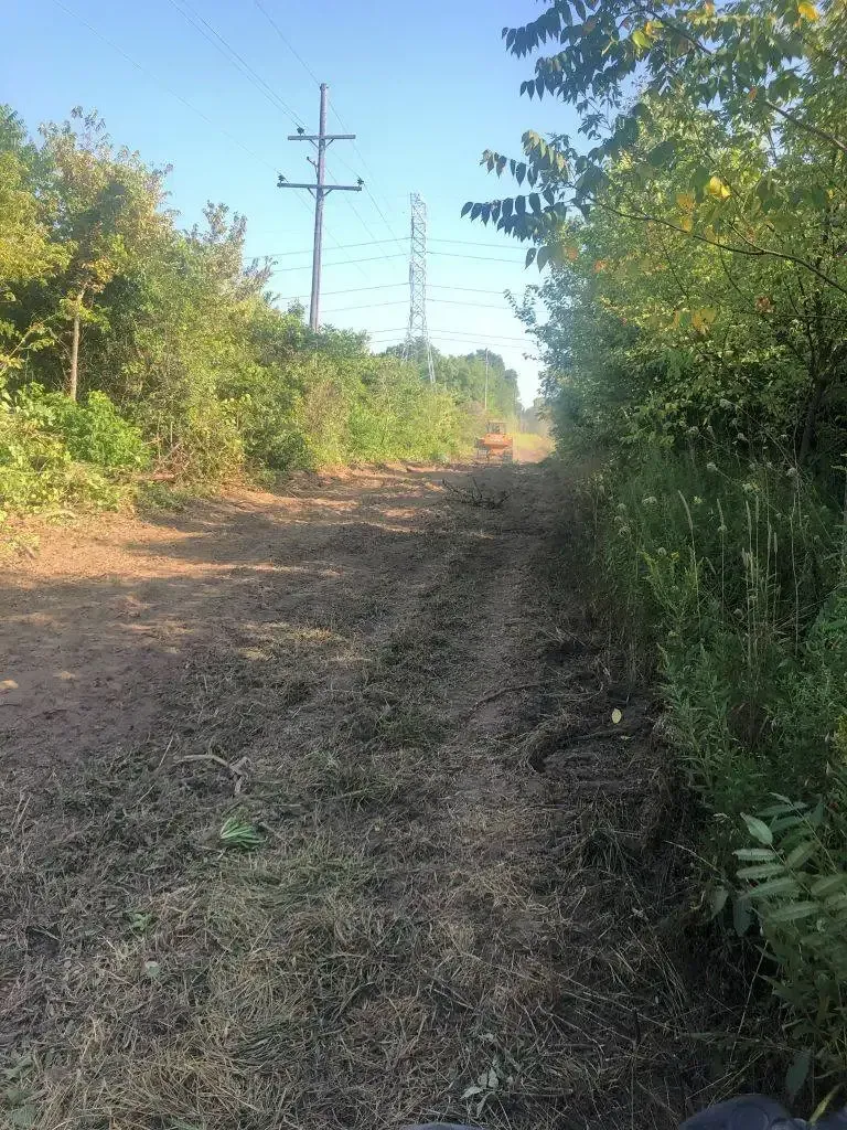 Dirt path through dense green brush with utility poles lining the trail under a clear blue sky