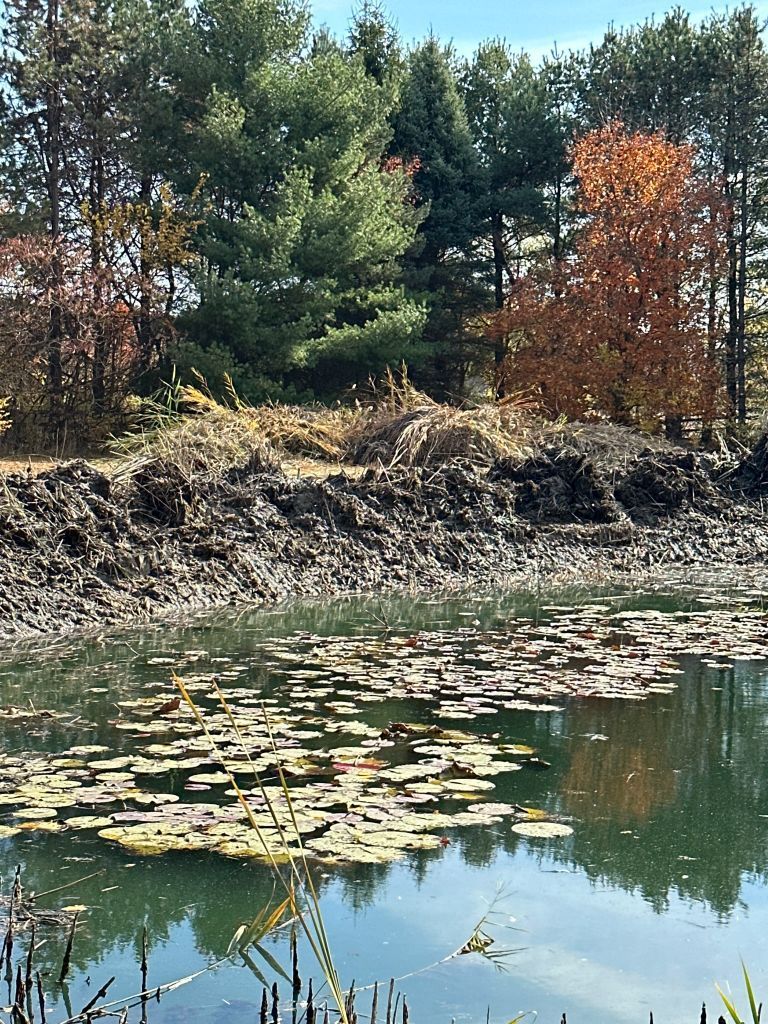 A pond with lily pads reflects autumn trees and blue sky along the far bank.