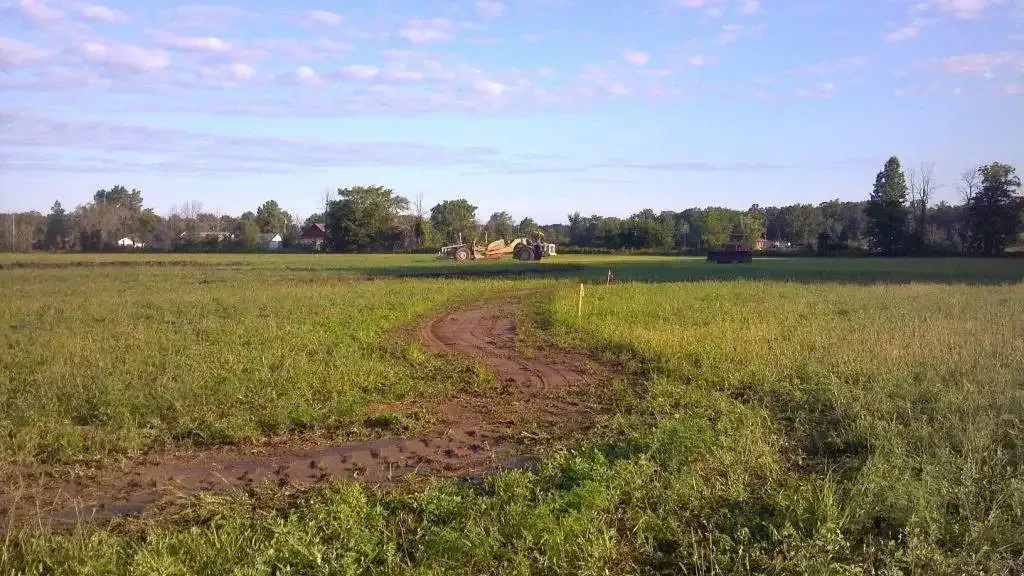 Grassy field with a dirt path leading toward distant trees under a clear sky.