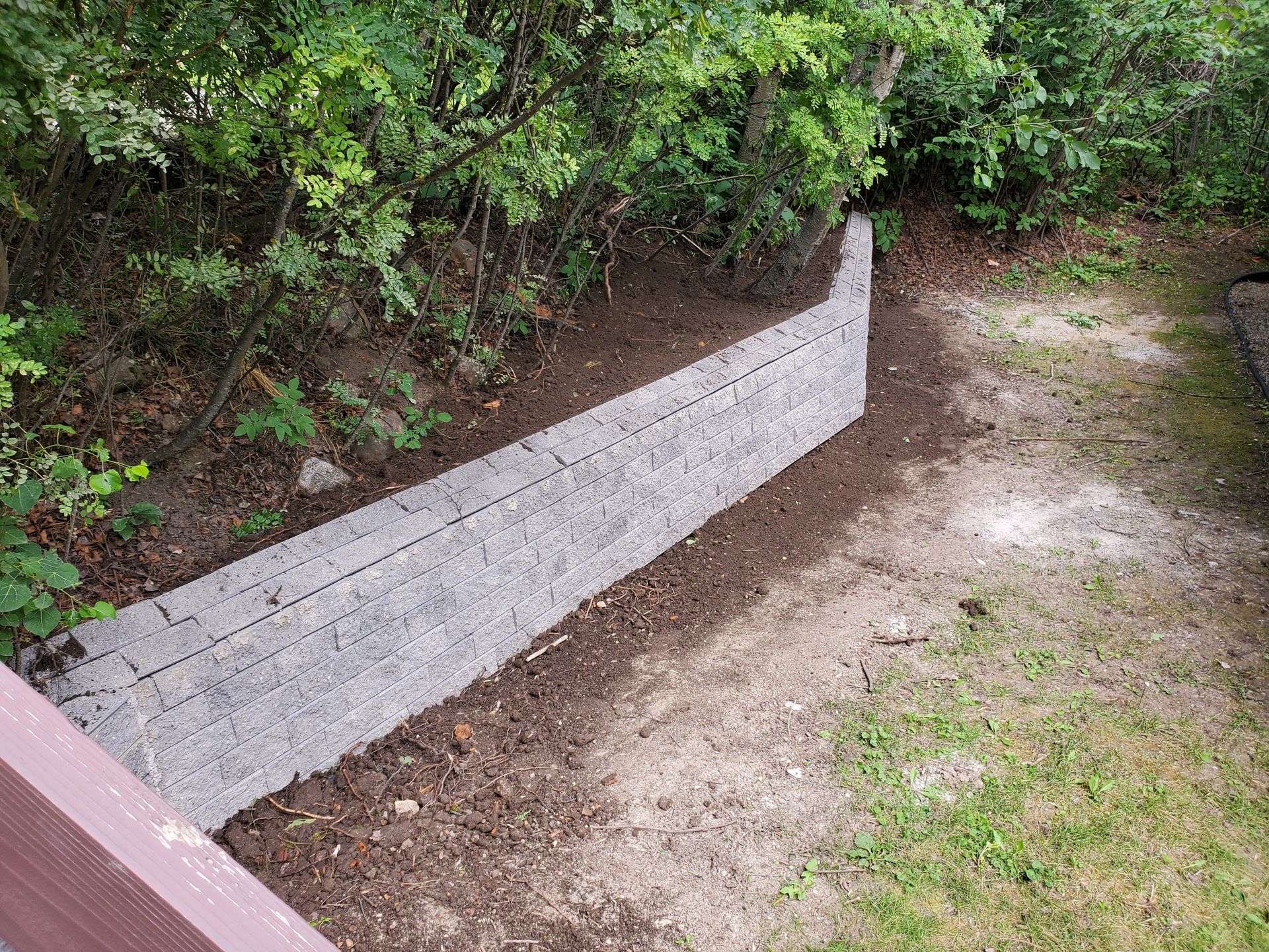 Concrete retaining wall bordering a dirt and grass path beside dense green shrubs
