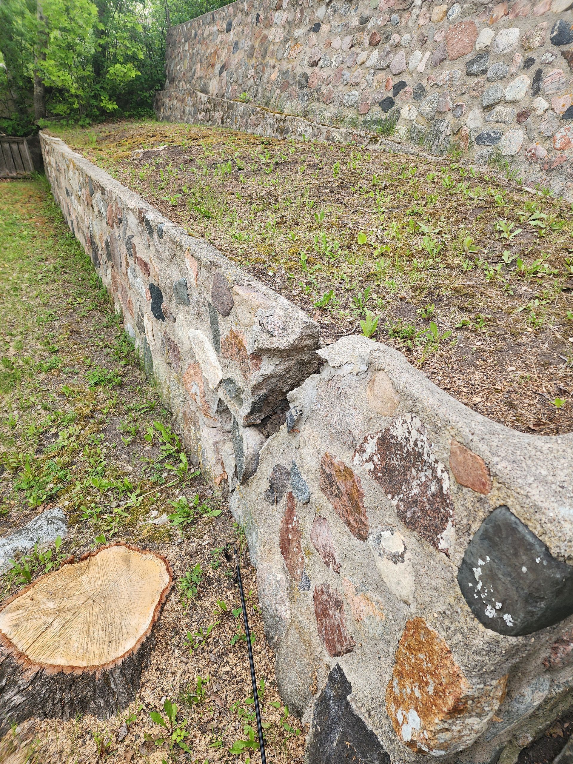 Stone retaining wall with moss-covered top beside a grassy path and tree stump