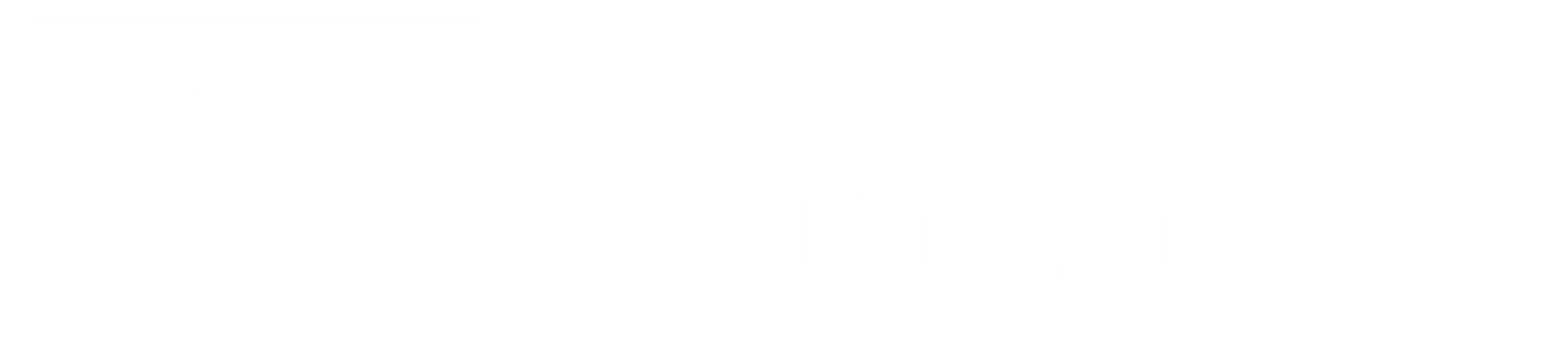 UE Emblem: Founded by the European Union