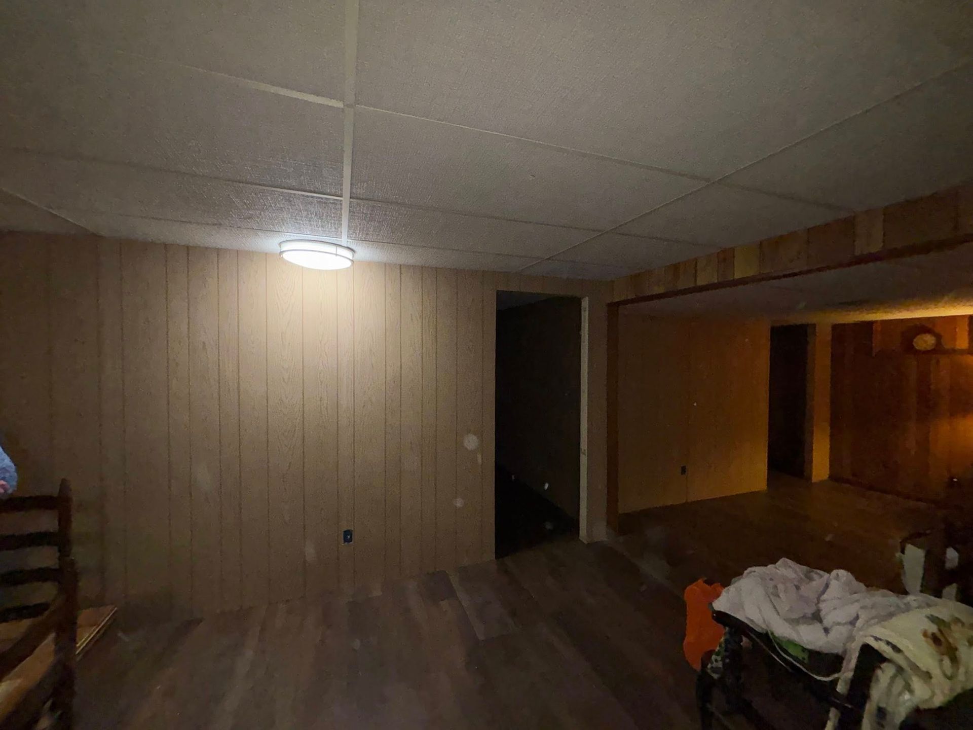 Dim basement room with wood-paneled walls, a ceiling light, and cluttered furniture on the right.