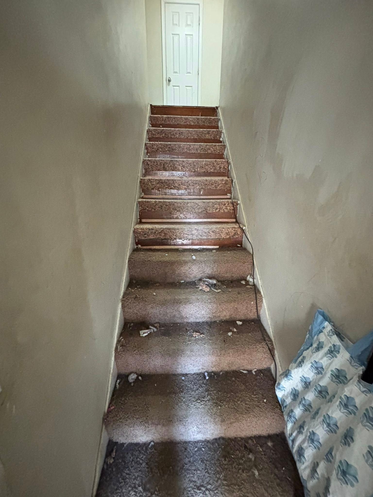 Narrow indoor staircase with brown steps and white walls leading to a door at the top
