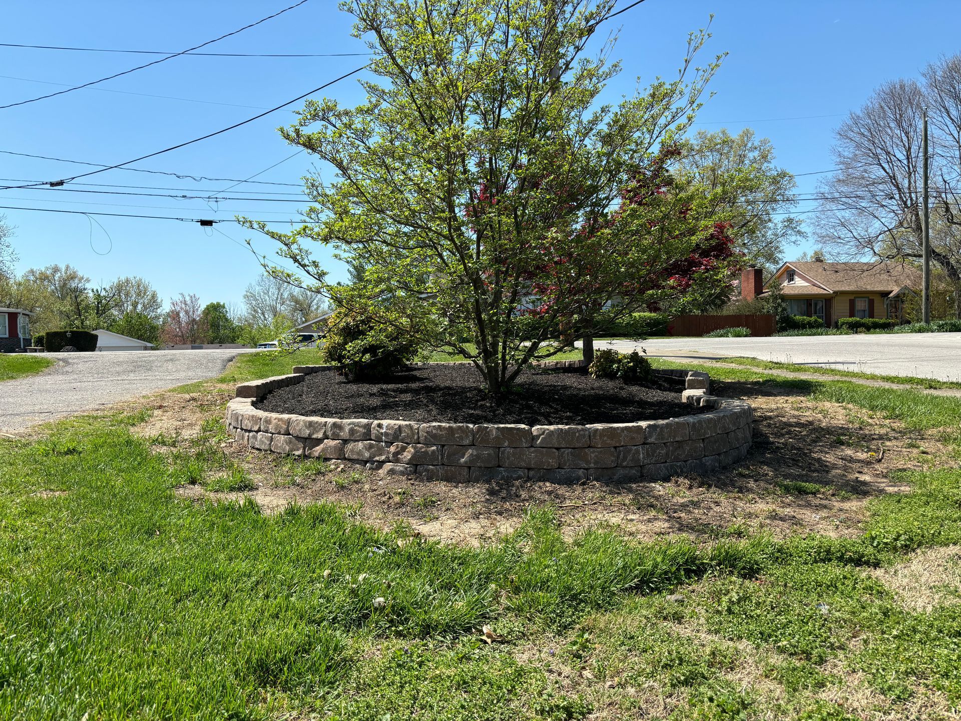 Small tree in a circular stone planter beside a roadside, with green grass and a house in the background.