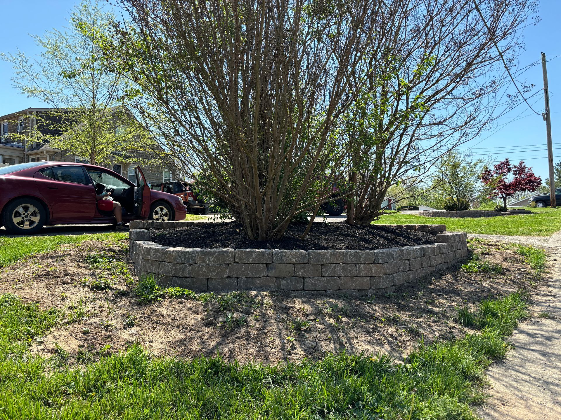 Circular stone planter with a leafless tree in a grassy area beside parked cars and a sidewalk