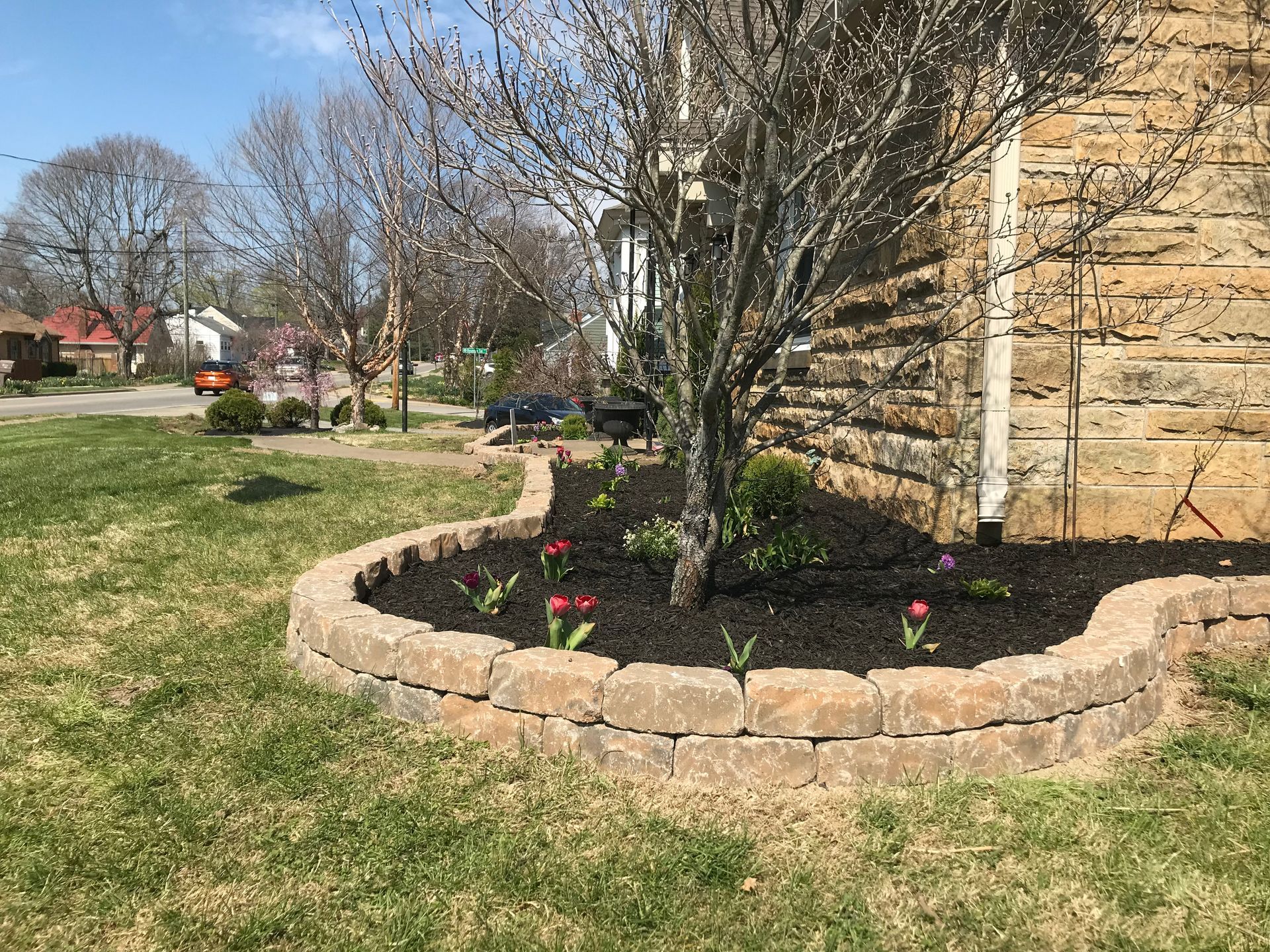 Curved stone flower bed with red flowers and a tree beside a tan house on a sunny lawn