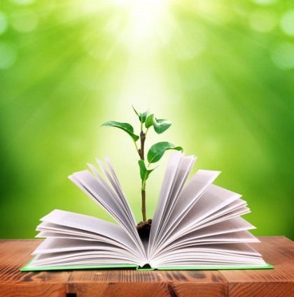 Open book on a wooden table with a small green plant growing from its pages against a bright green background