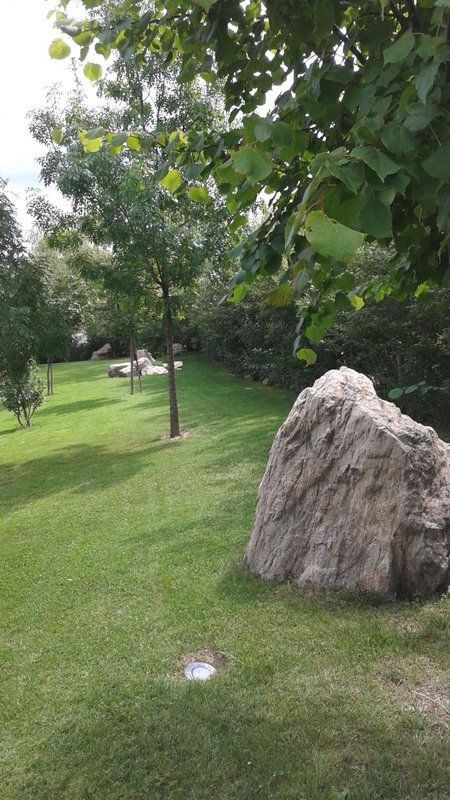 Una grande roccia si trova in mezzo a un lussureggiante campo verde.