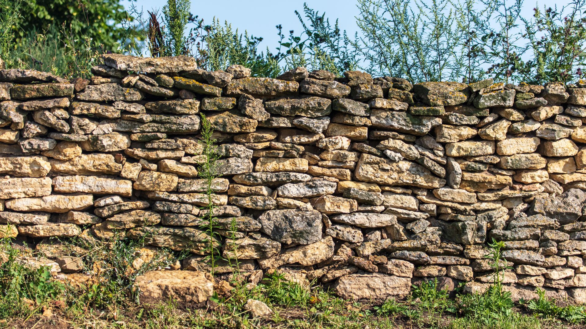 Un grande muro di pietra è circondato da erba e alberi.