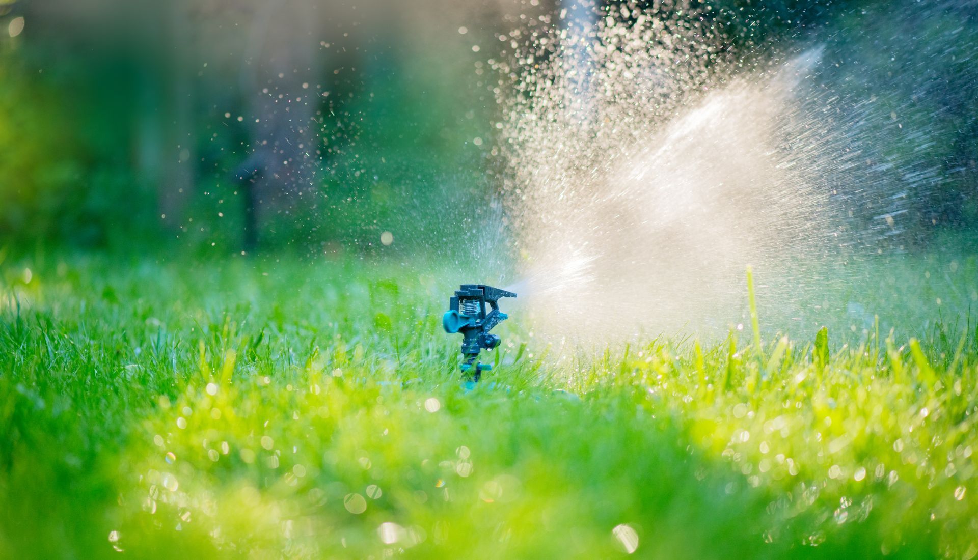 Un irrigatore spruzza acqua su un prato verde rigoglioso.