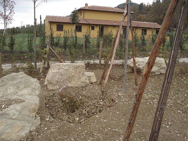 Una grande roccia si trova in mezzo a un campo di terra di fronte a una casa gialla