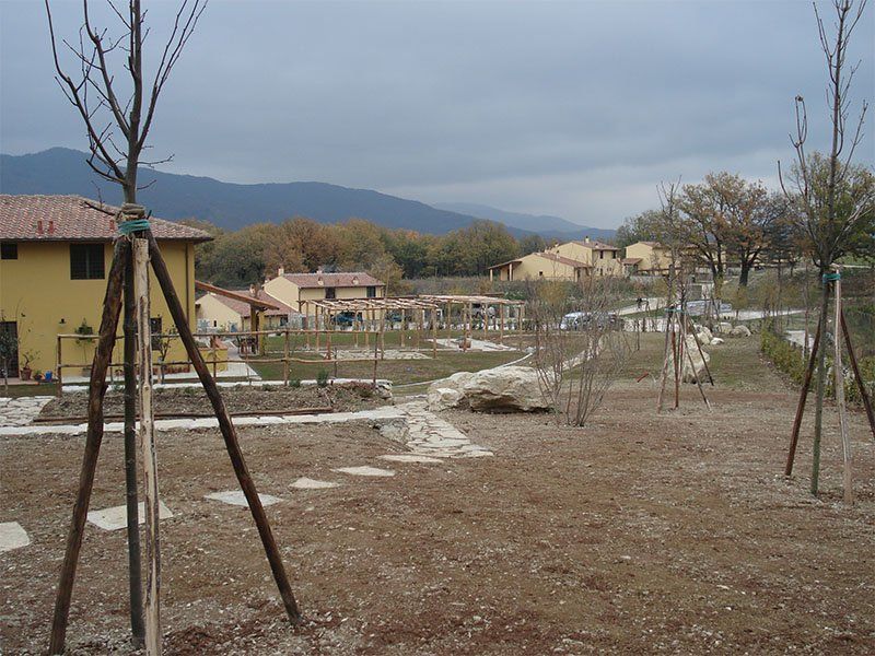 Alcuni alberi in un campo con una casa sullo sfondo