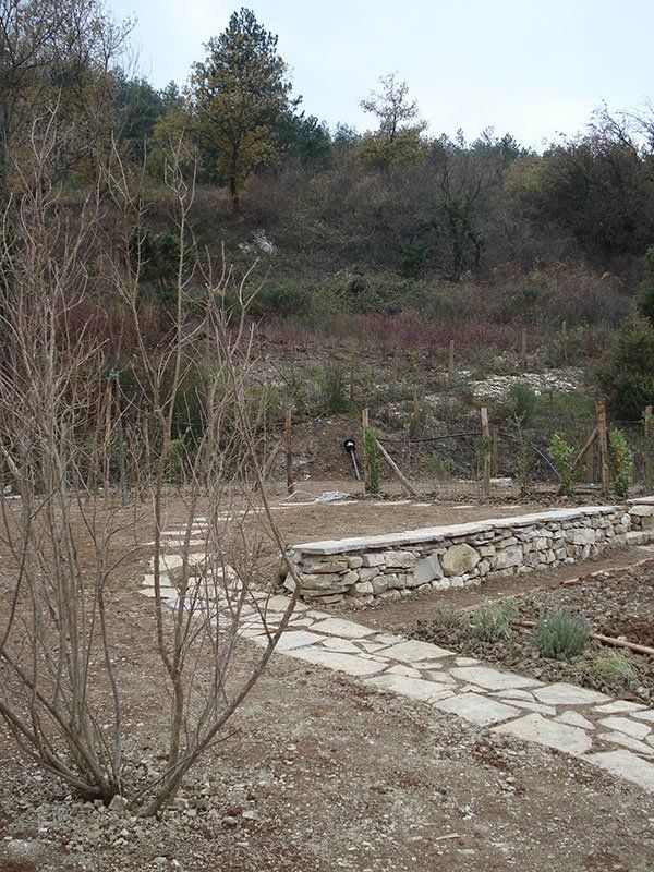 Una passerella in pietra che attraversa un campo con alberi sullo sfondo