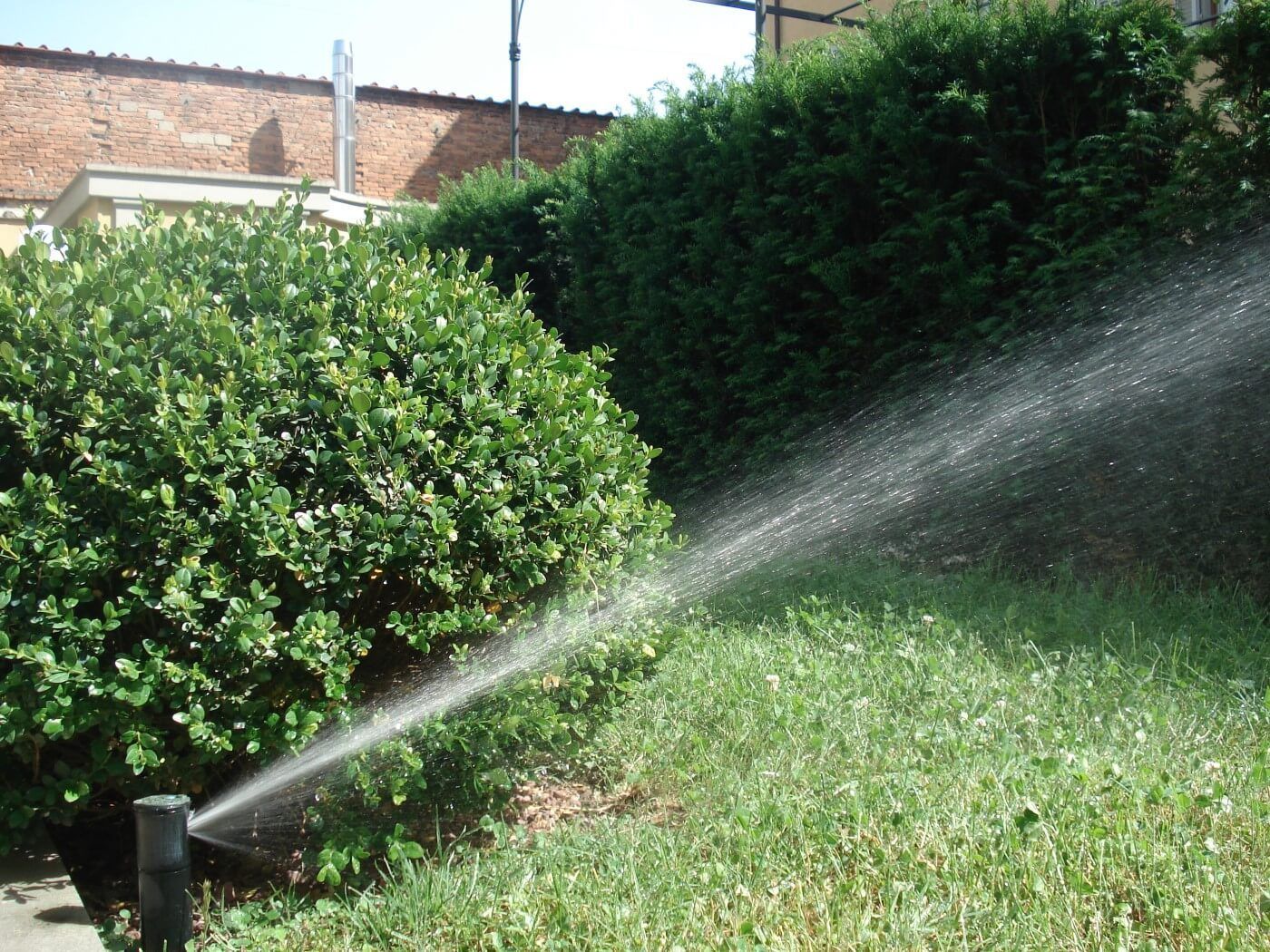 Un irrigatore che spruzza acqua su un campo verde lussureggiante