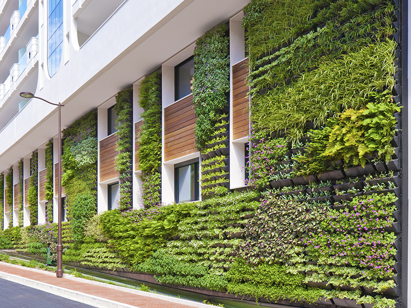 Un edificio con un muro verde sul lato