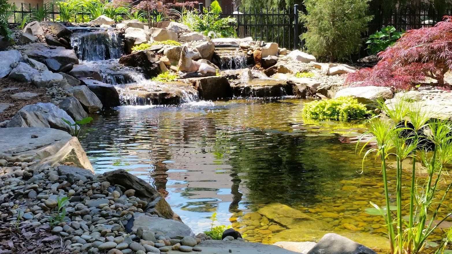 Pond Maintenance in Columbia, SC