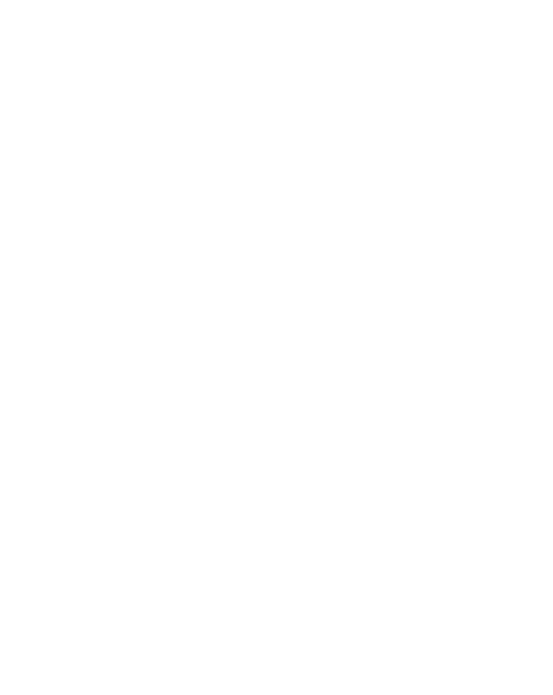 Blank white rectangle with a thin black border on the right edge.