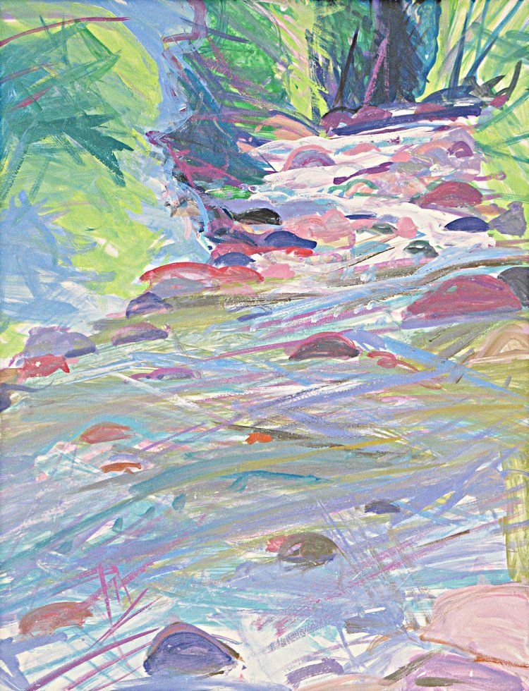 Stream flowing through rocks in a forest