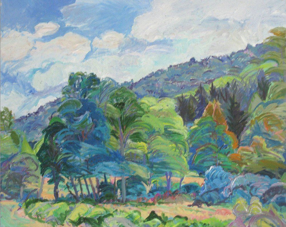 Lush green trees and foliage with a light blue and white cloudy sky and a mountain in the background