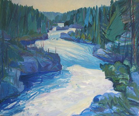 A rushing river through a forest landscape 