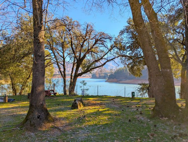 RV spot with views of Lake Shasta