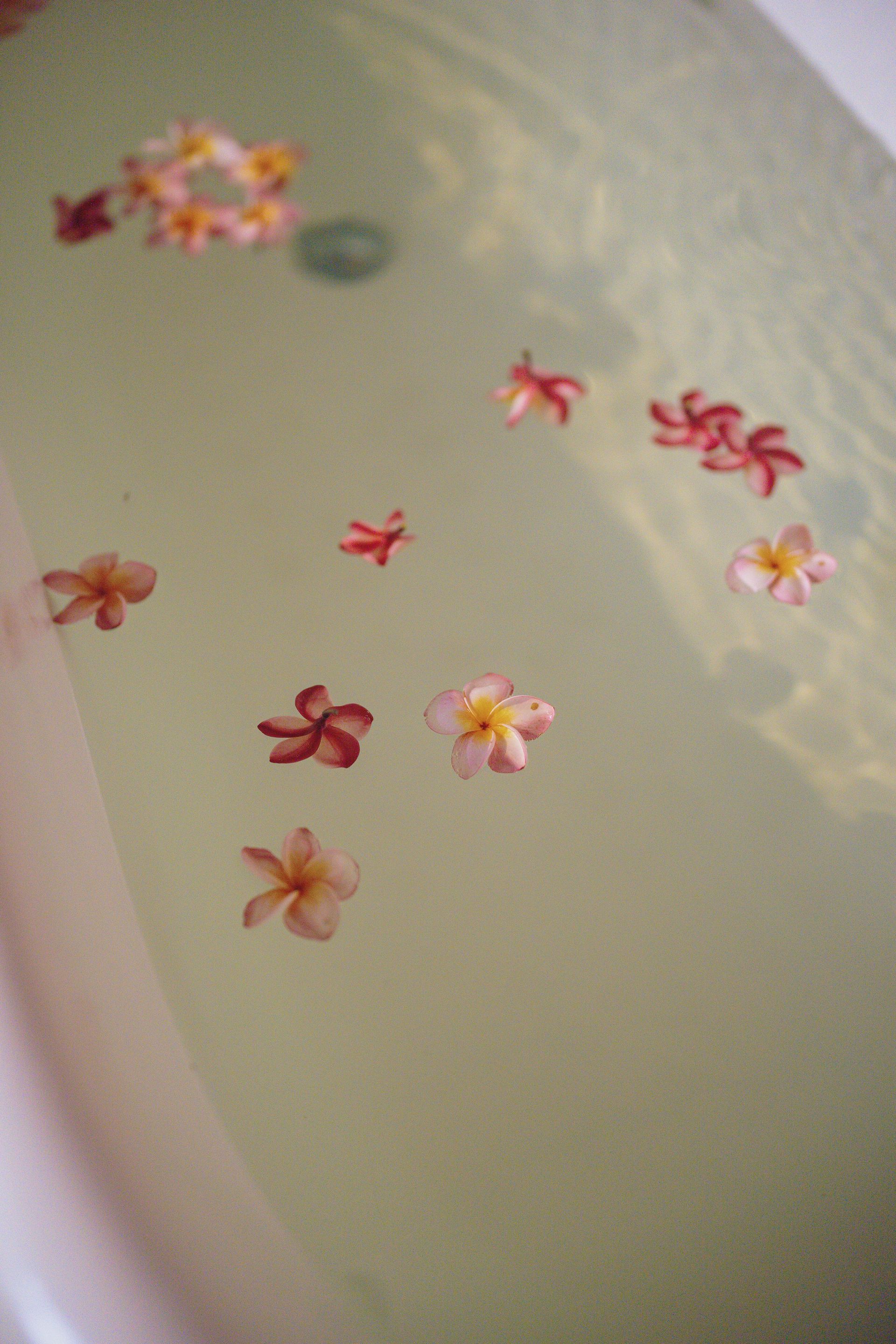 Flowers are floating in a bathtub with green water.