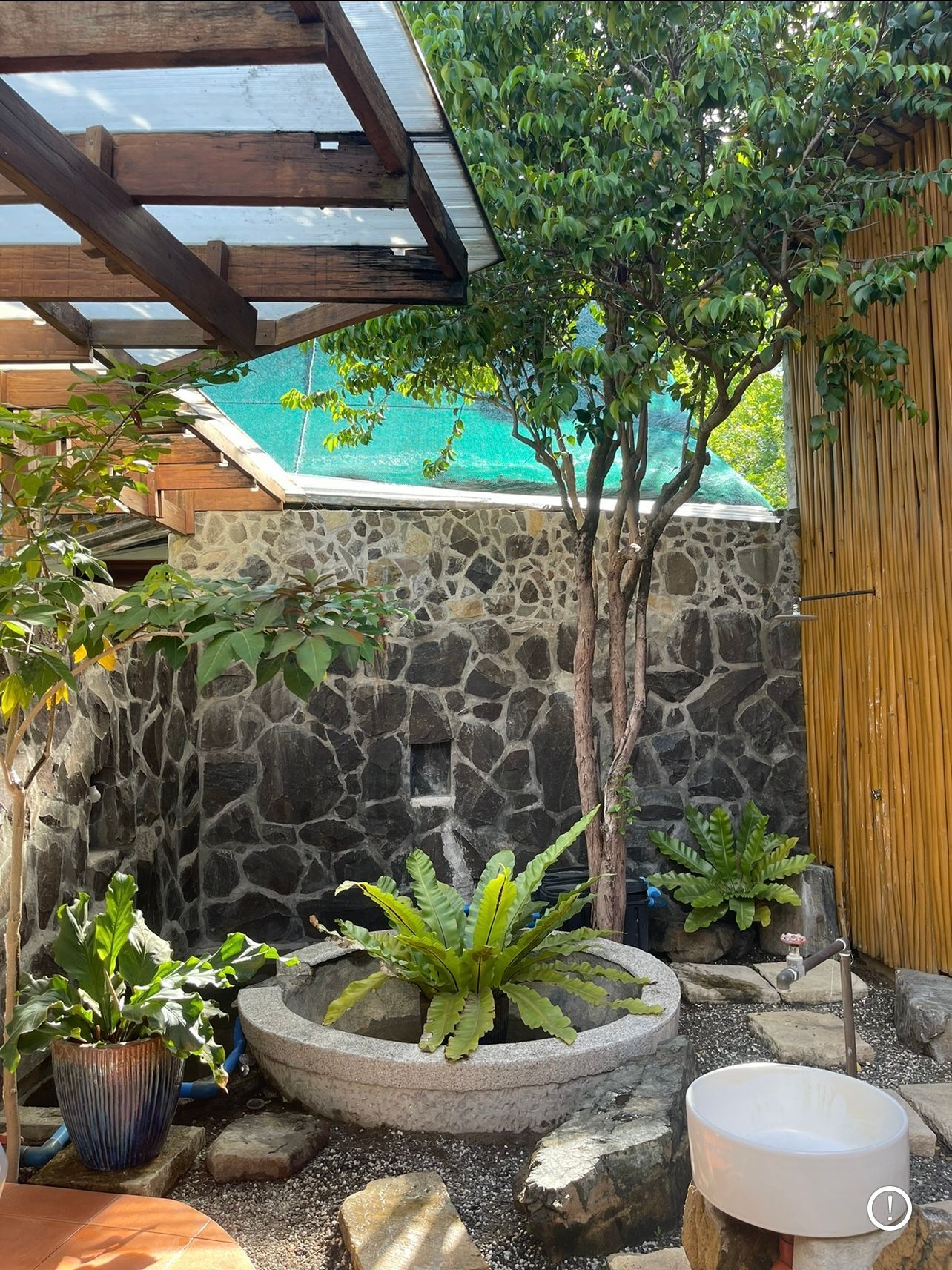 A small garden with a tree in the middle of it.