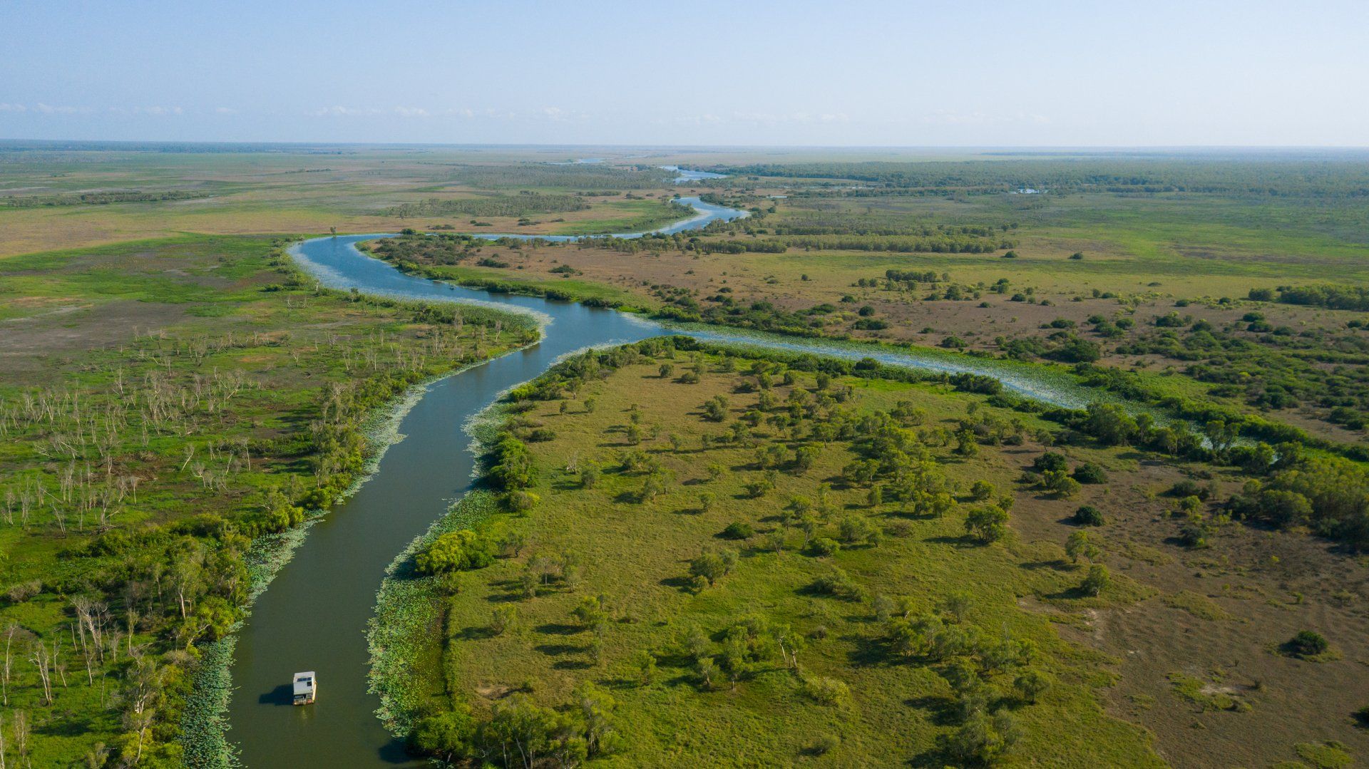 An aerial view of a river flowing through a lush green swamp.
