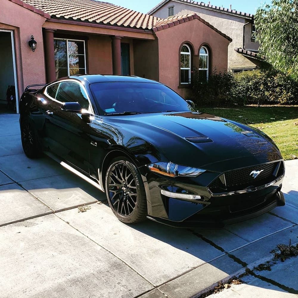 Suntek Clear Bra PPF | Murrieta's Best Suntek PPF Dealer | Paint ...