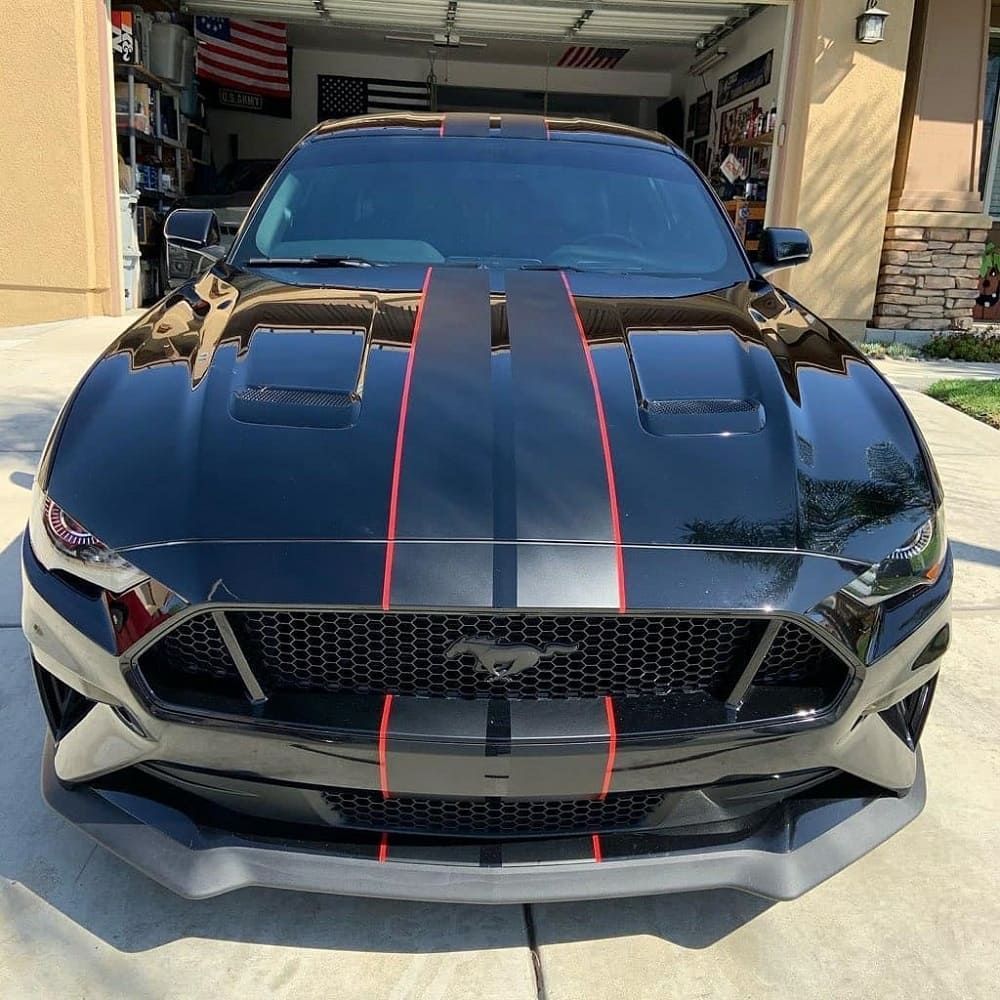 paint protection film for cars