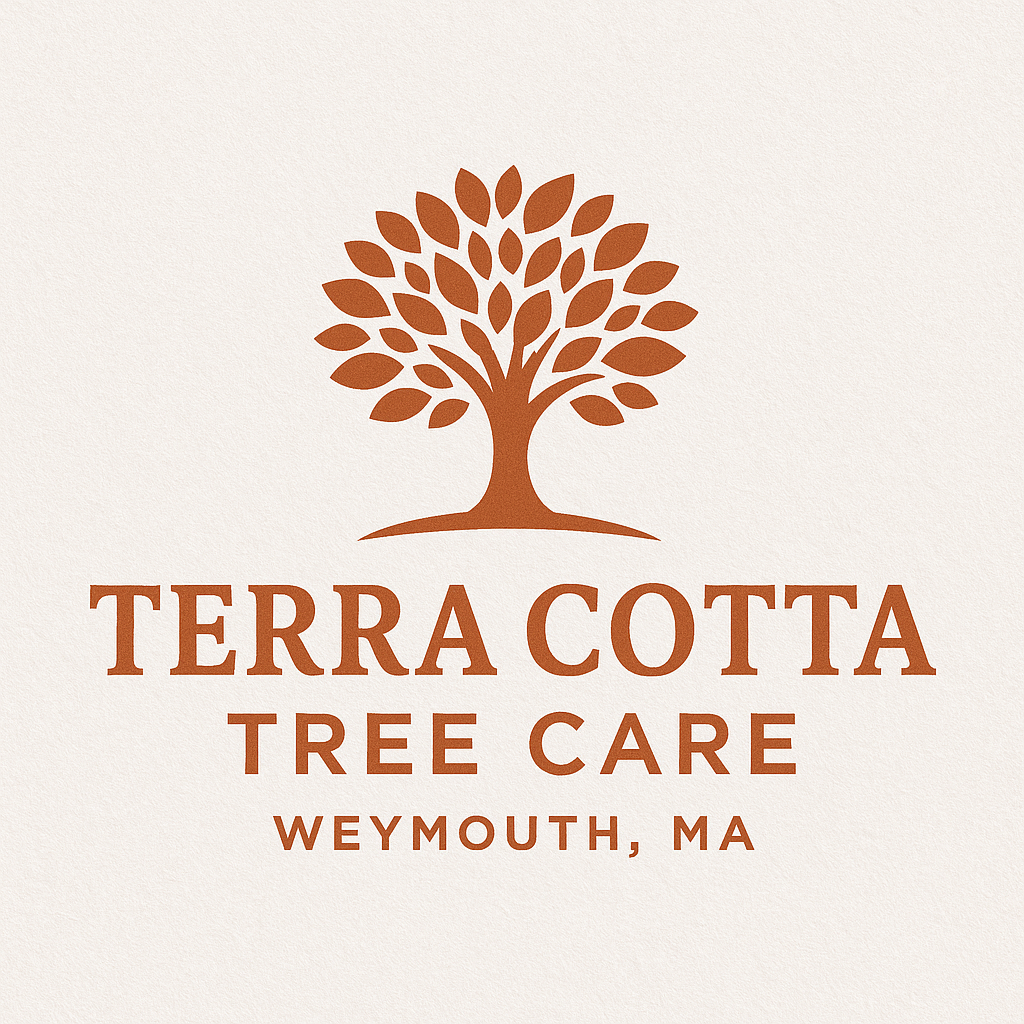 Terra Cotta Tree Care Logo 3