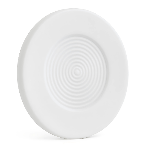 Plato de cerámica blanca con diseño de círculos concéntricos.