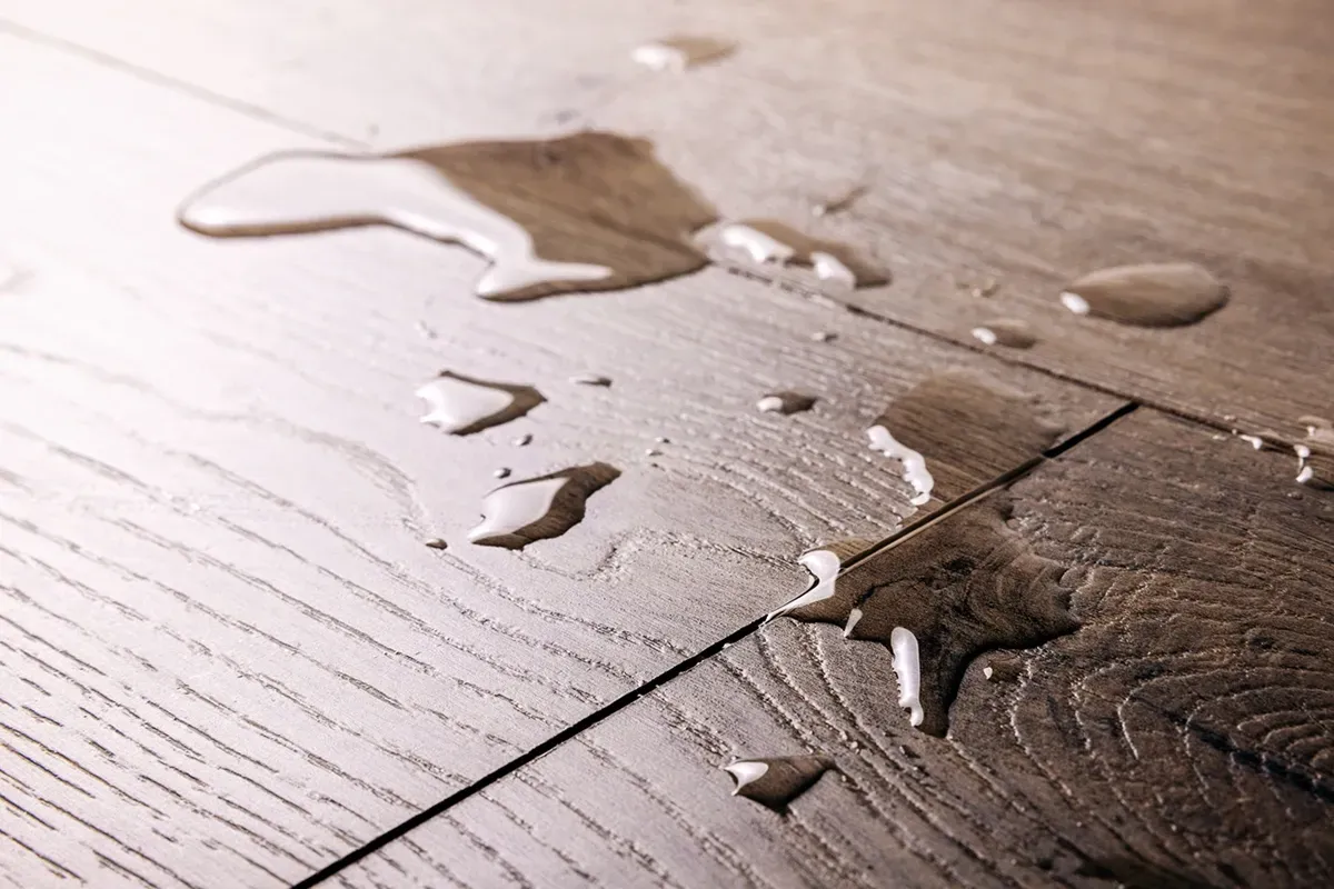 Closeup of LVP flooring with standing water on top.