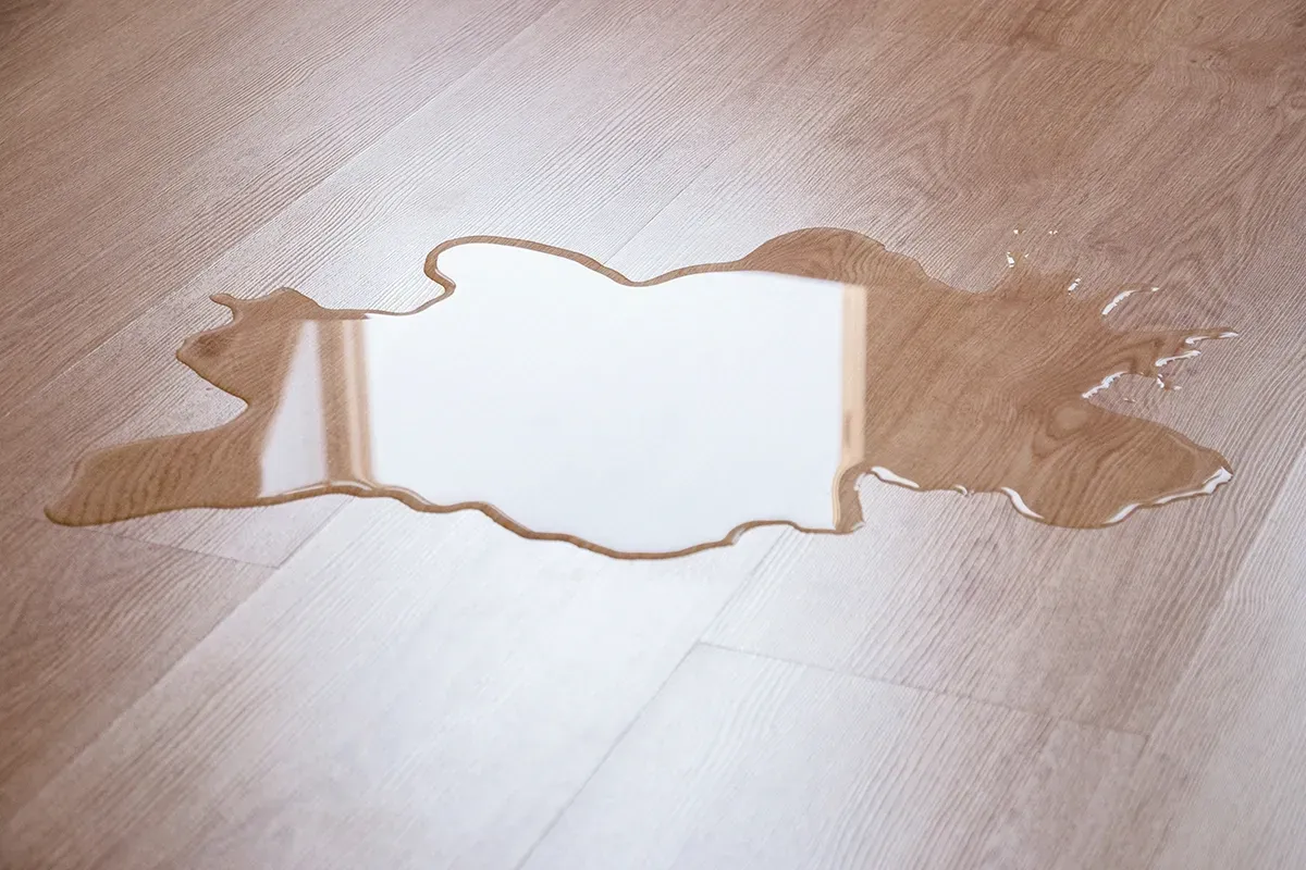 A standing water spill on top of LVP flooring.