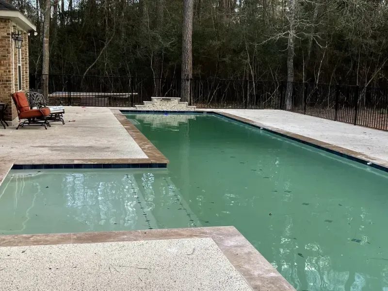 Backyard swimming pool with pale green water and stone patio beside trees
