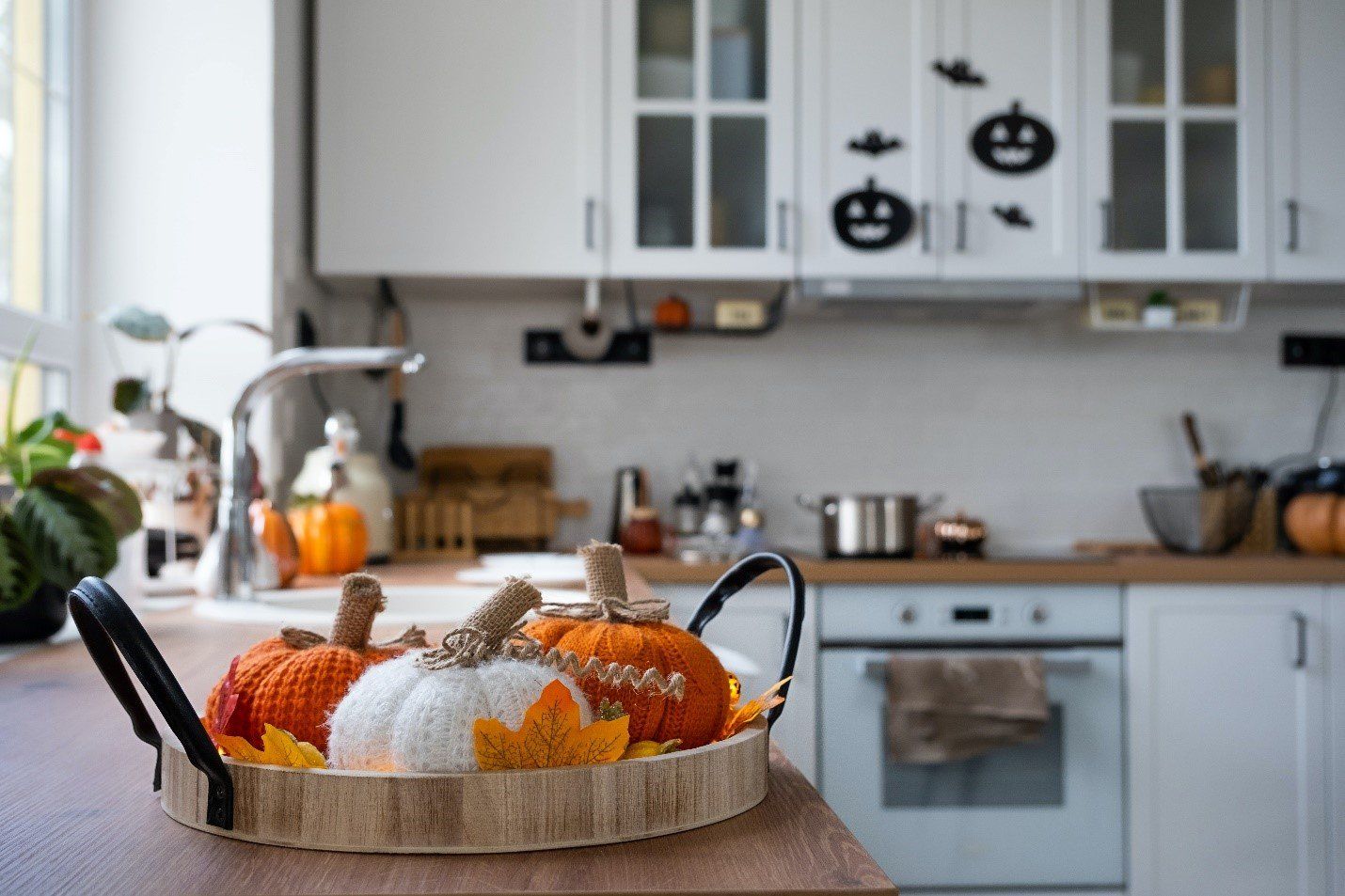 Kitchen cabinet styles for your house