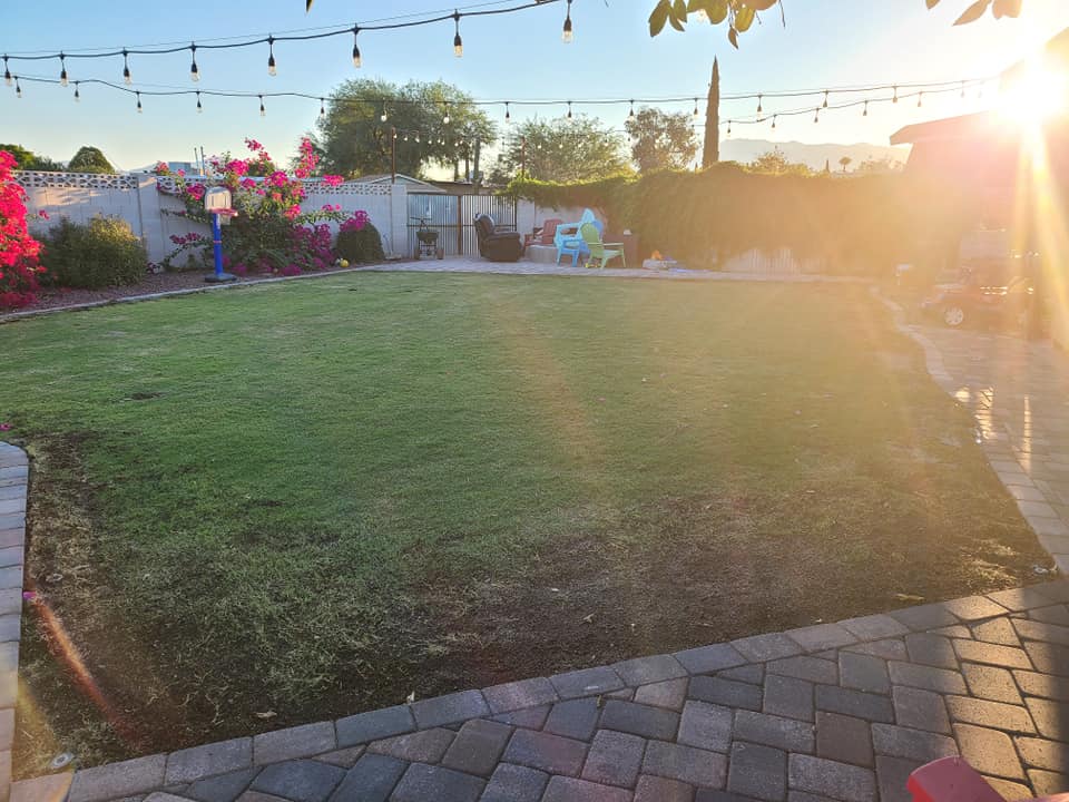 Poppy Yard Solutions Top Rated Landscaper Tucson, Arizona