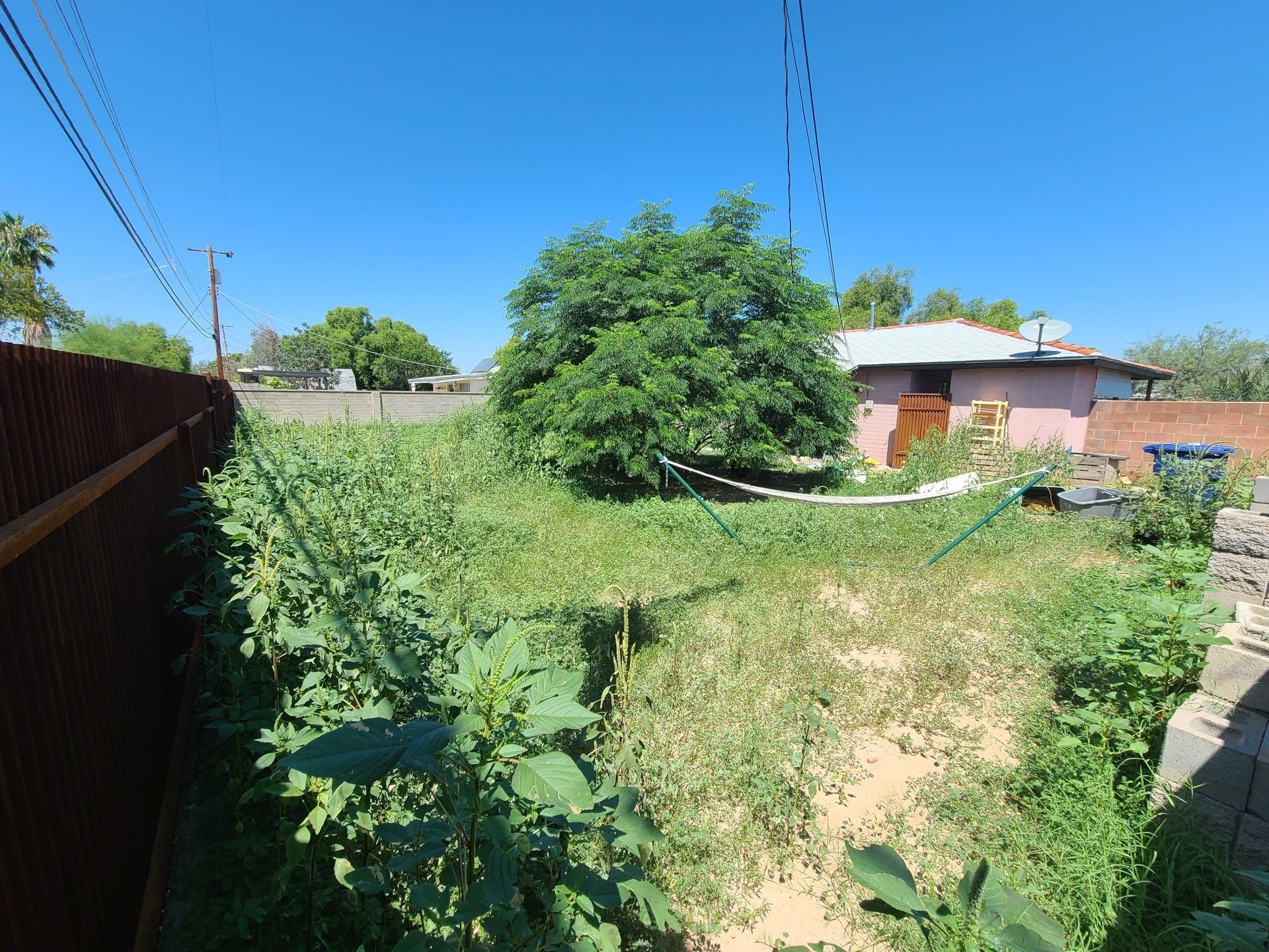 Poppy Yard Solutions Top Rated Landscaper Tucson, Arizona