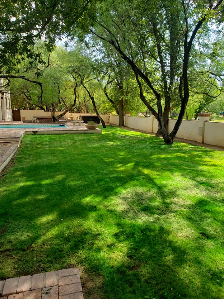 Poppy Yard Solutions Top Rated Landscaper Tucson, Arizona