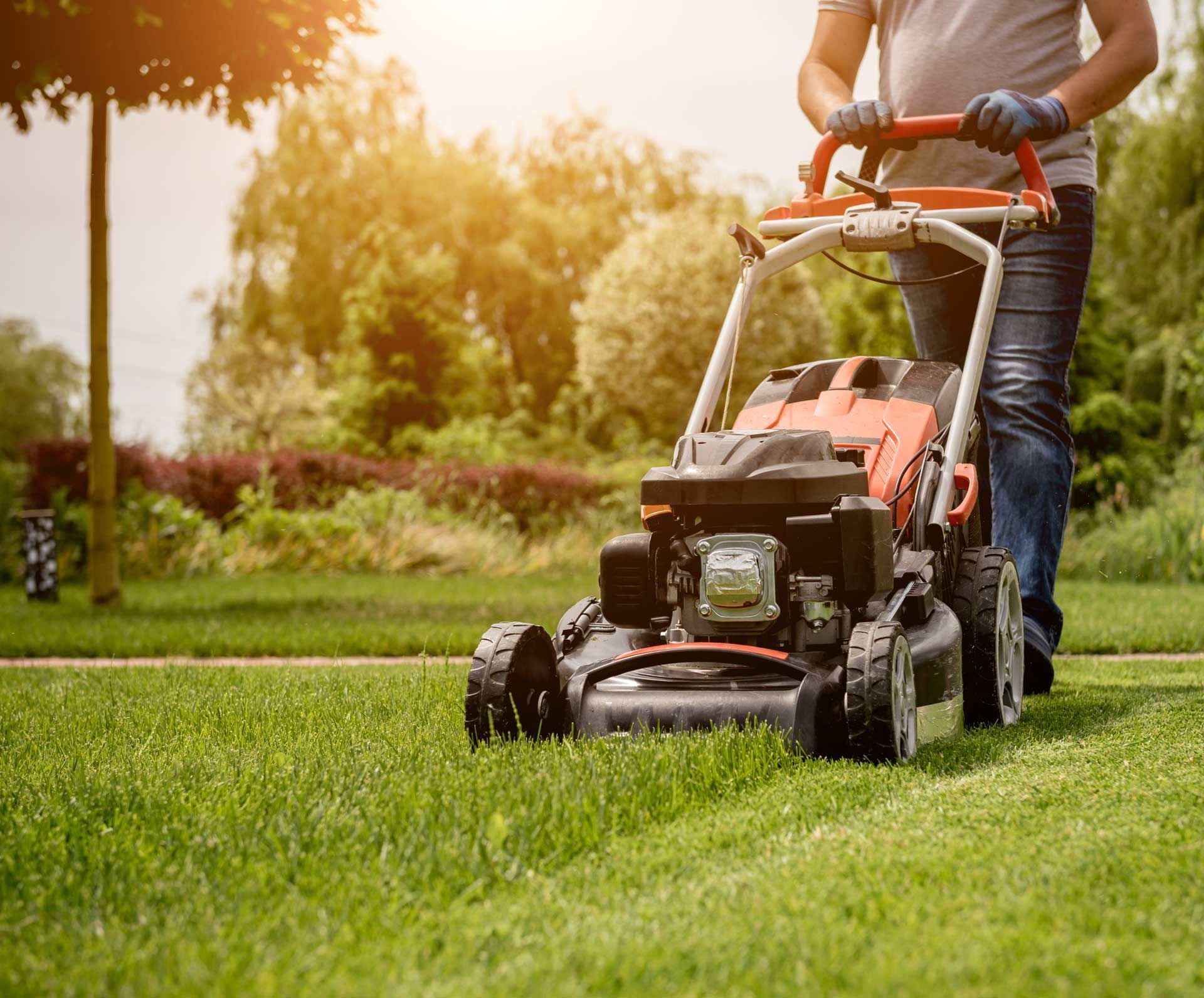 Person pushing a red lawn mower across a green yard in sunlight