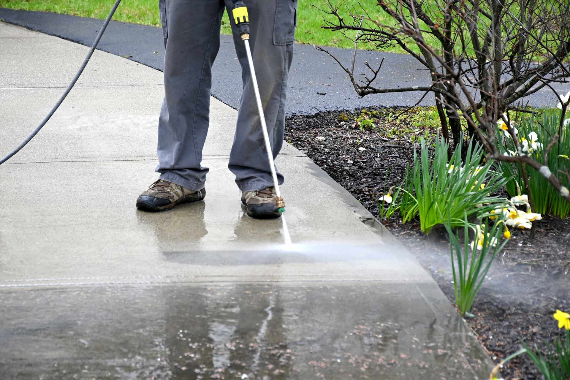 Person pressure-washing a wet concrete walkway beside a garden bed.