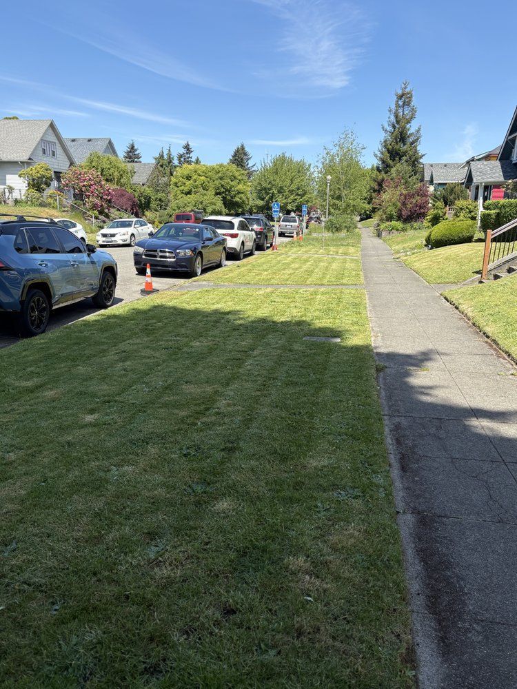 Suburban street with parked cars, grassy verge, and sidewalk under a clear blue sky