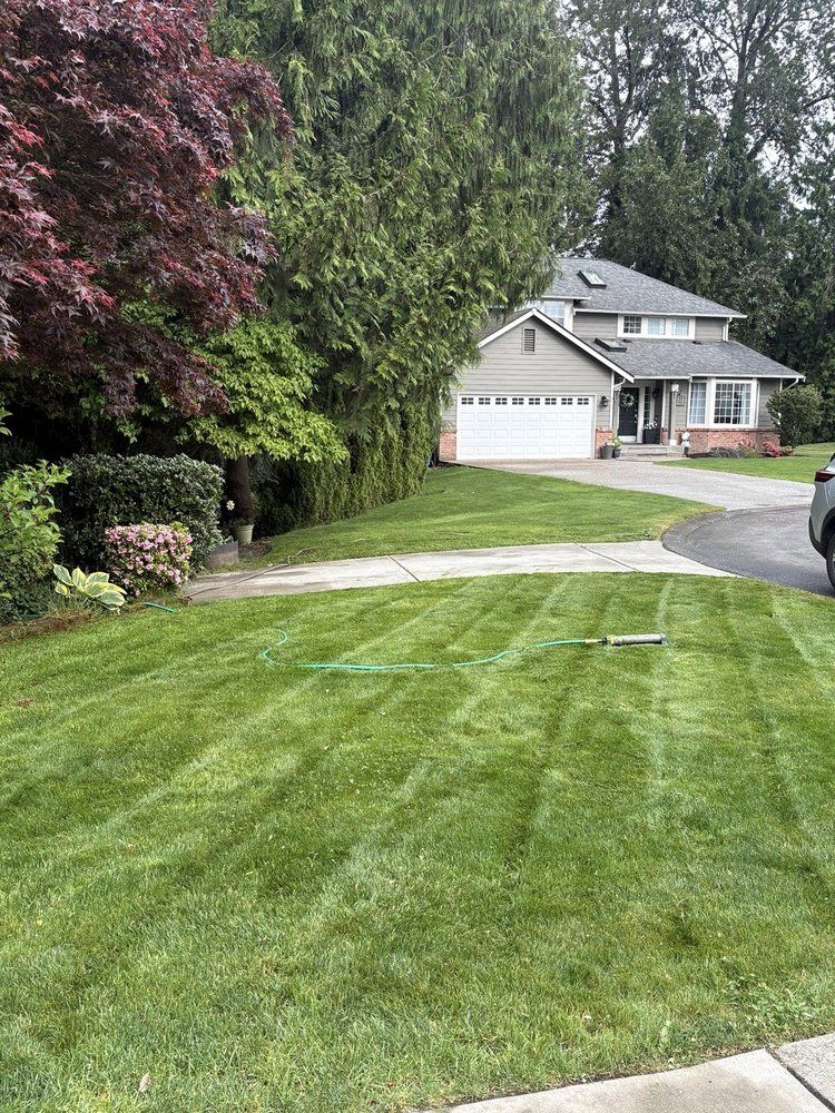 Suburban house with a manicured green lawn and trees in the front yard
