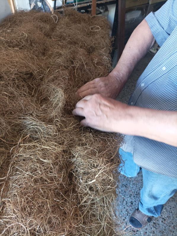 Le mani di una persona anziana che selezionano un grande mucchio di fibre vegetali secche e marroni. Indossa una camicia a quadri azzurra e jeans.