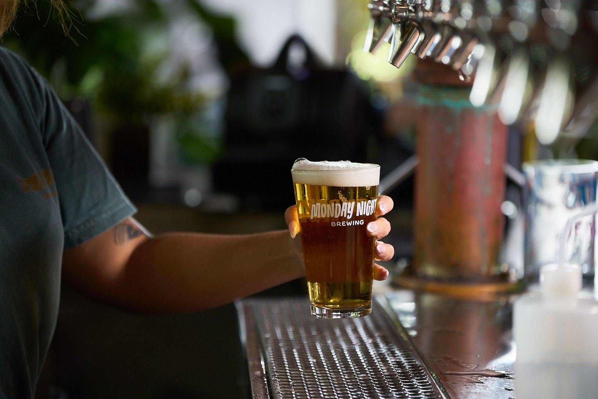 Person holding a foamy pint of beer at a bar counter