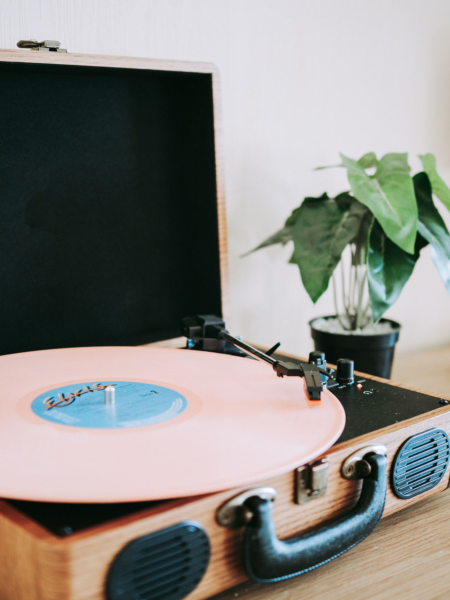 Pink vinyl record on a turntable beside a laptop and potted plant on a desk