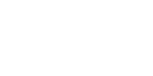 Michigan Wheel & Tire logo