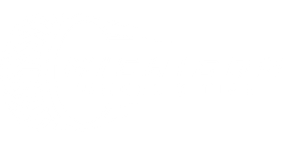 Michigan Wheel & Tire logo