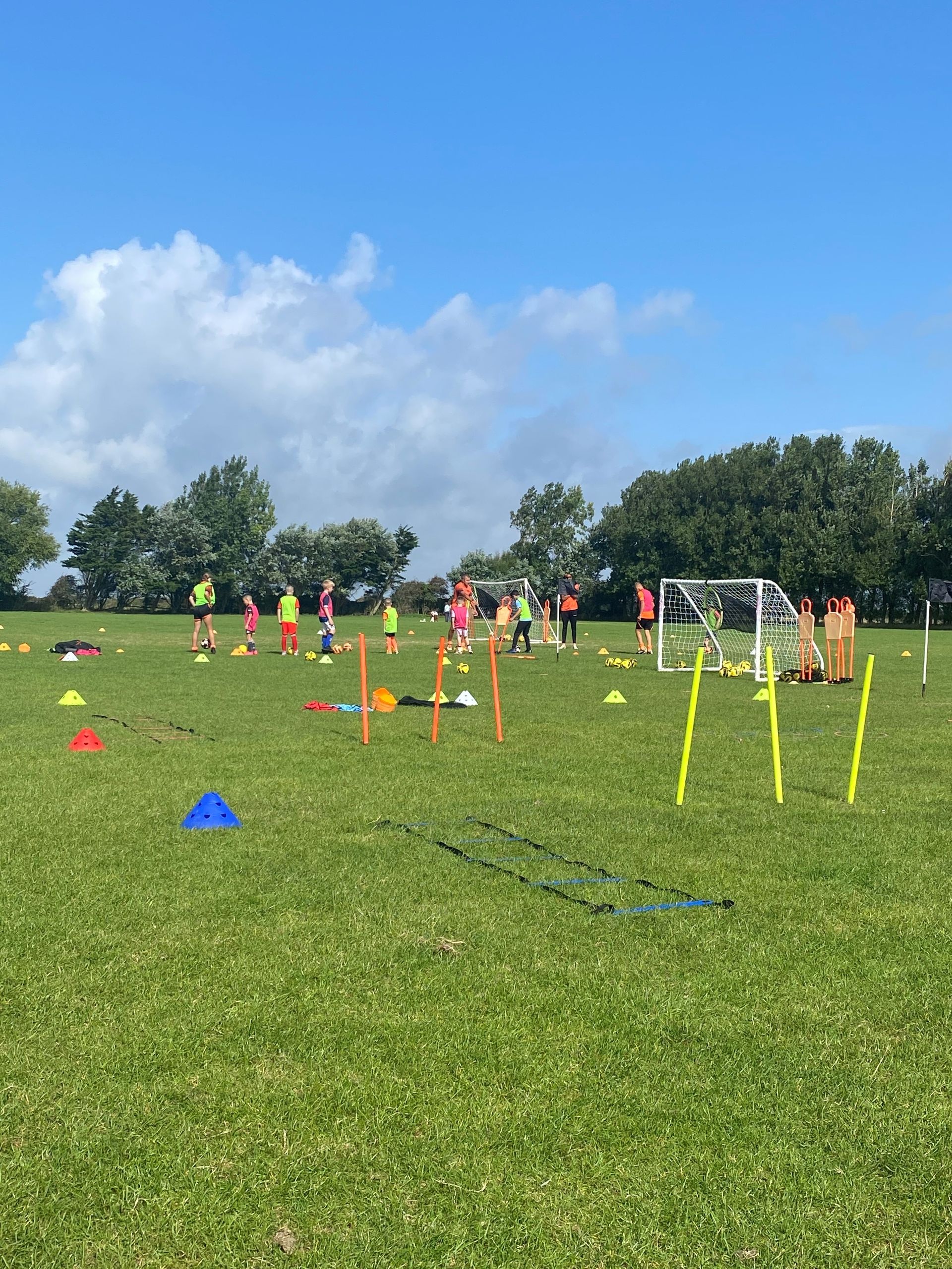 Children practicing soccer drills on a sunny grassy field with cones and small goals.
